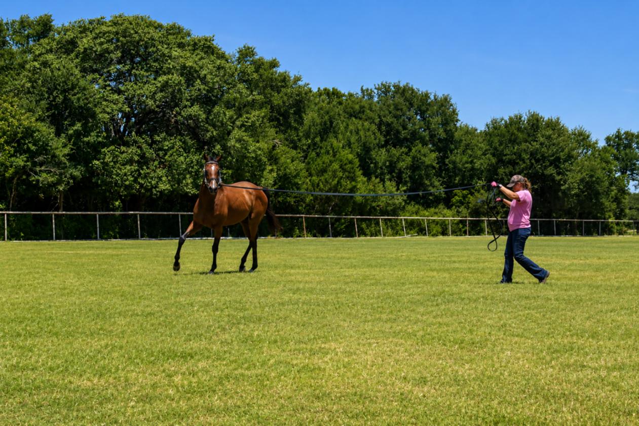 98± Acre Farm & Ranch North of San Antonio - photo 17
