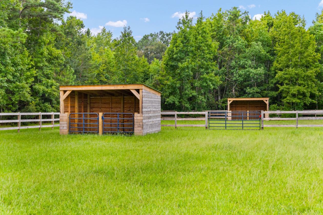 35 Acre Equestrian Estate + Newly Renovated Home - photo 28
