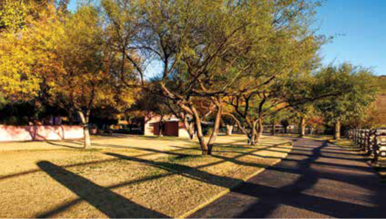 Iconic Tucson Guest Ranch Surrounded by State Park - photo 6