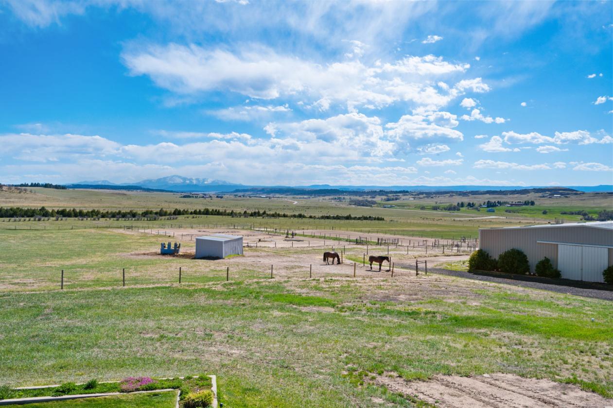 36 Breathtaking Acres w/ 15 Stalls & 3 Arenas - photo 11
