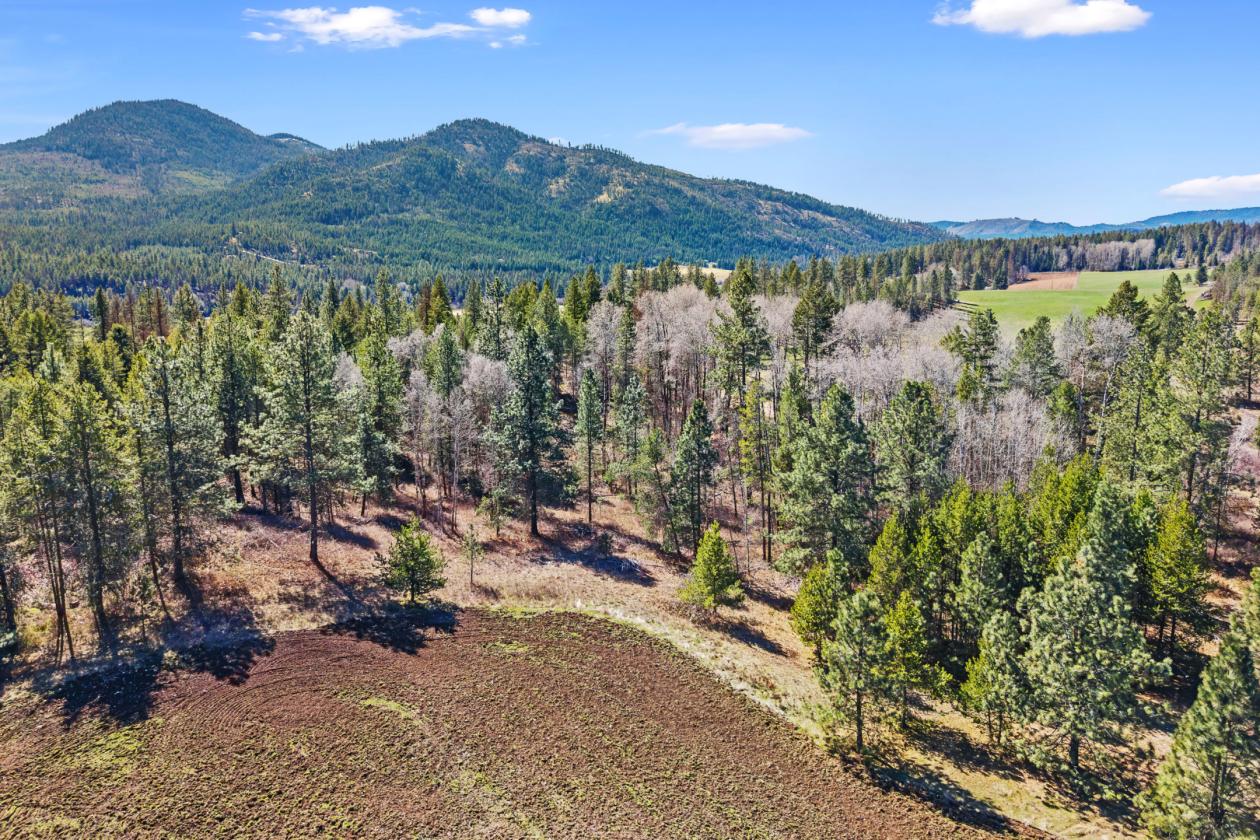 Gorgeous 63 Acres - photo 5