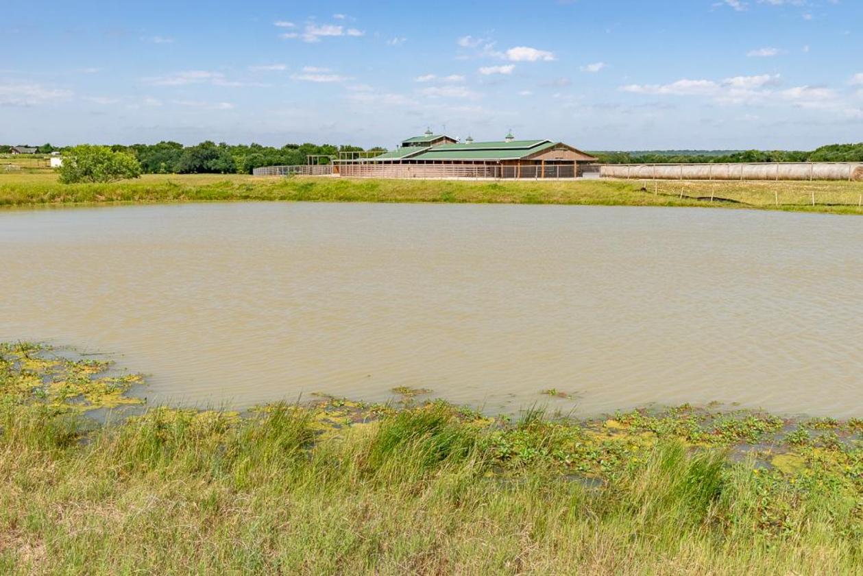 117.5 Acre Horse & Cattle & Rec. Property - photo 14