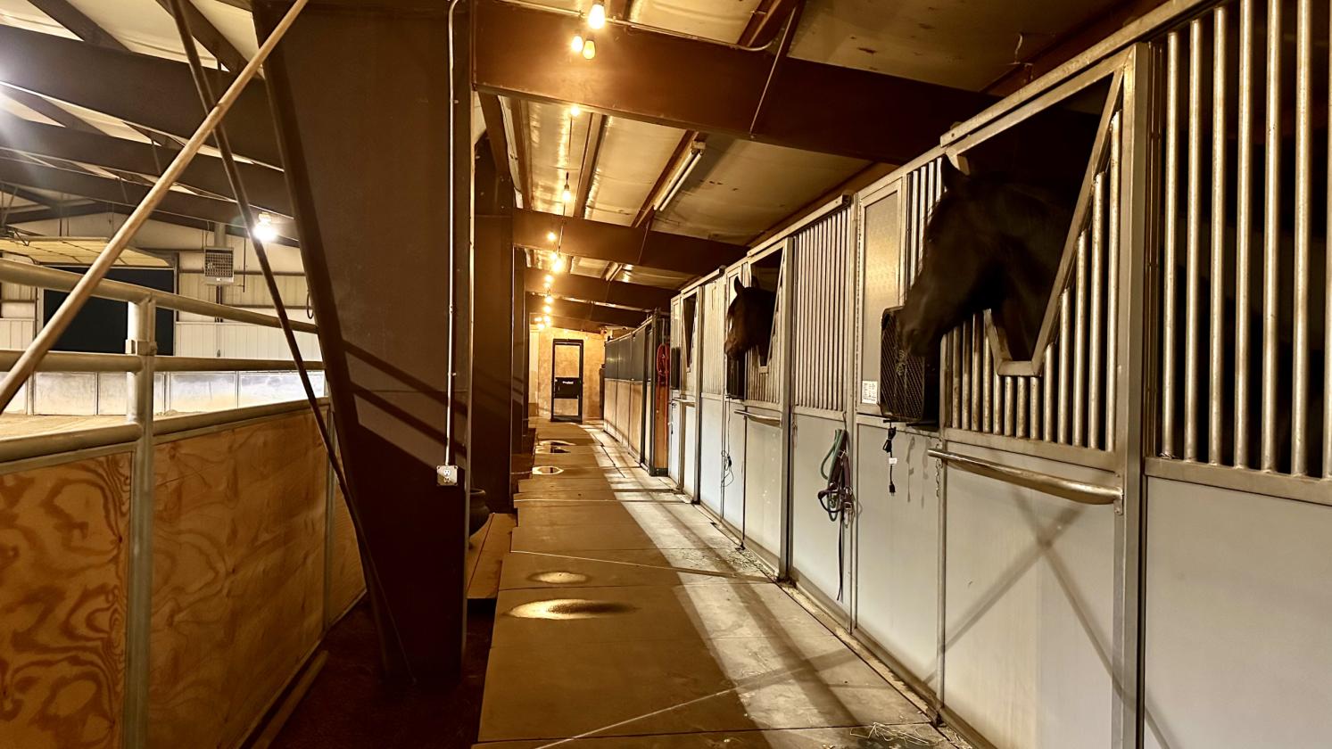 Enchanting Equestrian Estate with Covered Riding Arena - photo 8