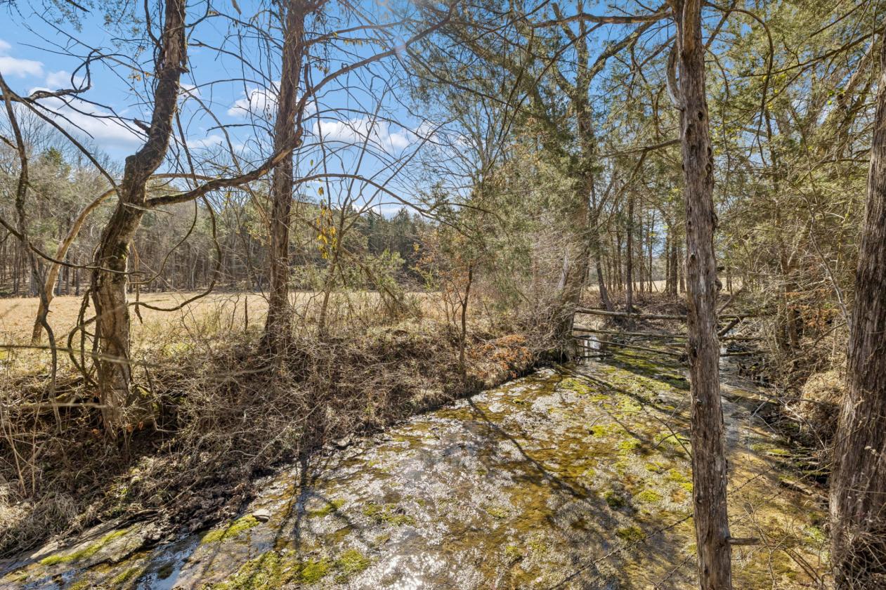 175 Gorgeous Acres - photo 17