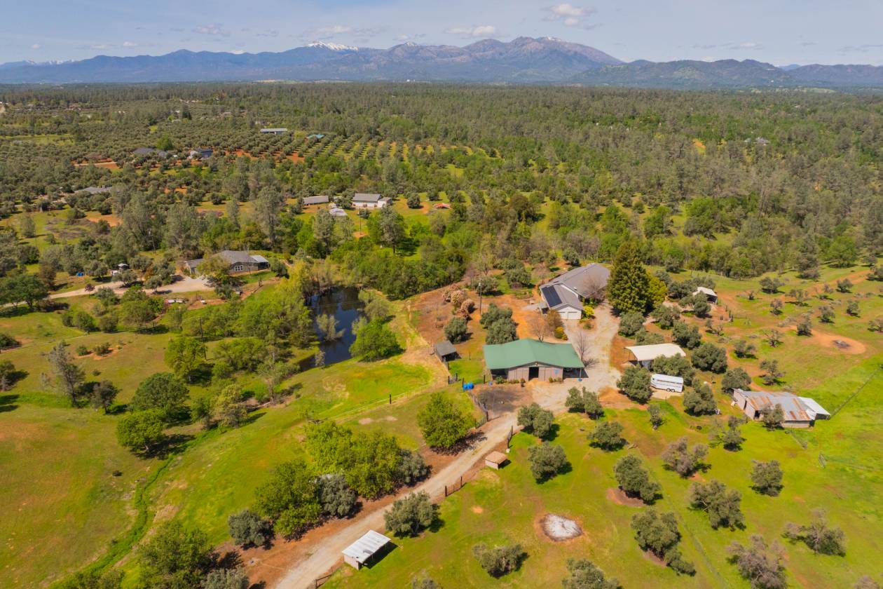 Horse Property for sale.
