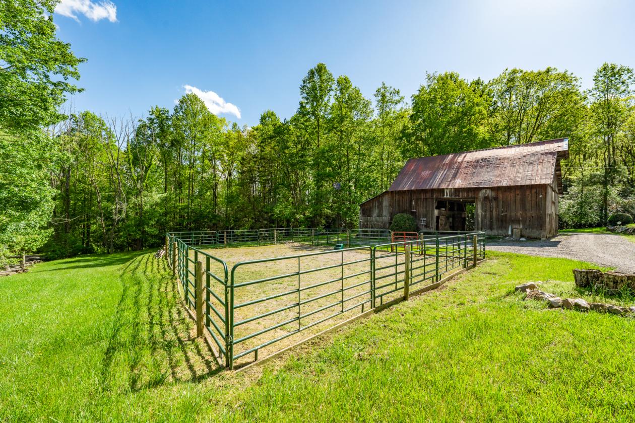 16 Acres in East TN Adjoining National Forest - photo 14