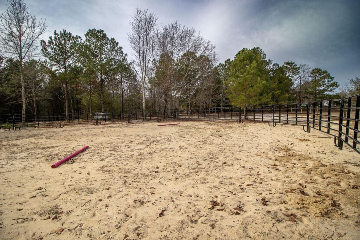 Affordable Horse Farm on 13 acres in Aiken County - photo 22