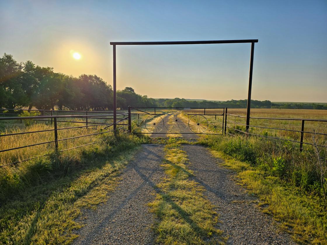 +/-174.7 ac with Log Home, Morton, and Horse Barn - photo 4