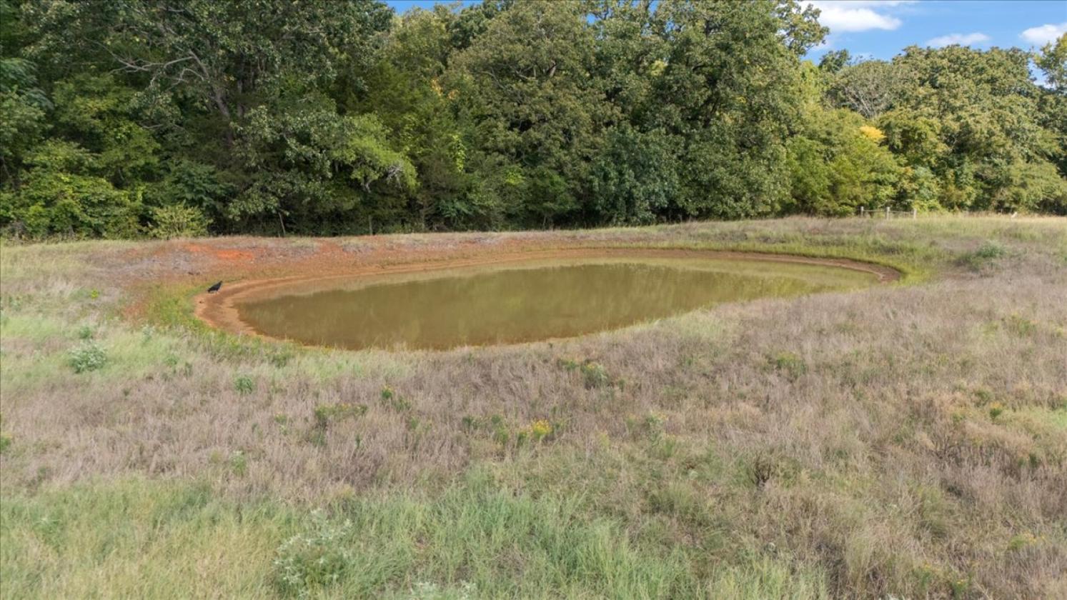 Hickory Hills Farm - 52 acres - photo 21