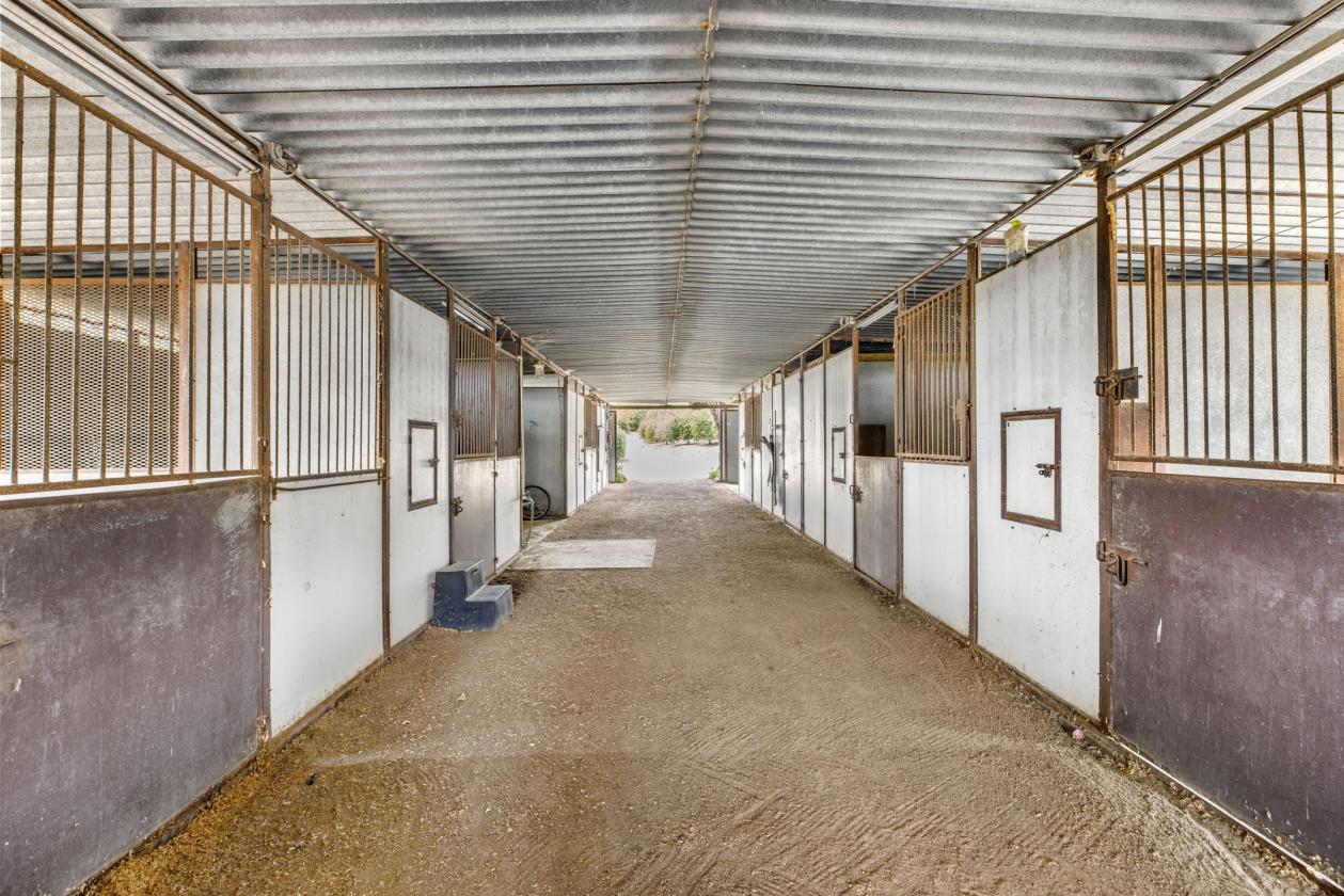 Lemon Ridge Ranch on 47 Acres - photo 12
