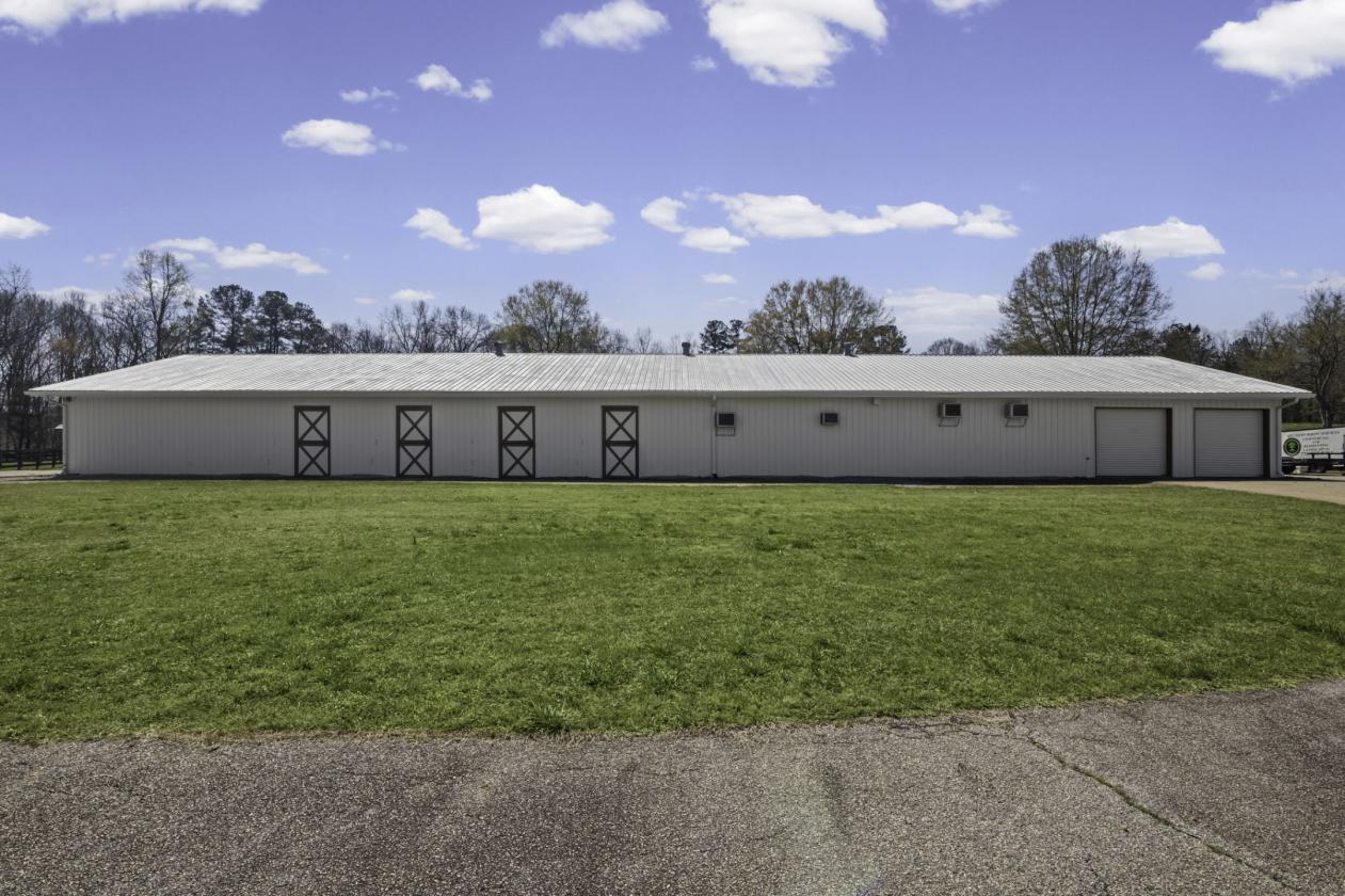 Oak Ridge Farm, an Equestrian Estate on 75+/ Acres - photo 26