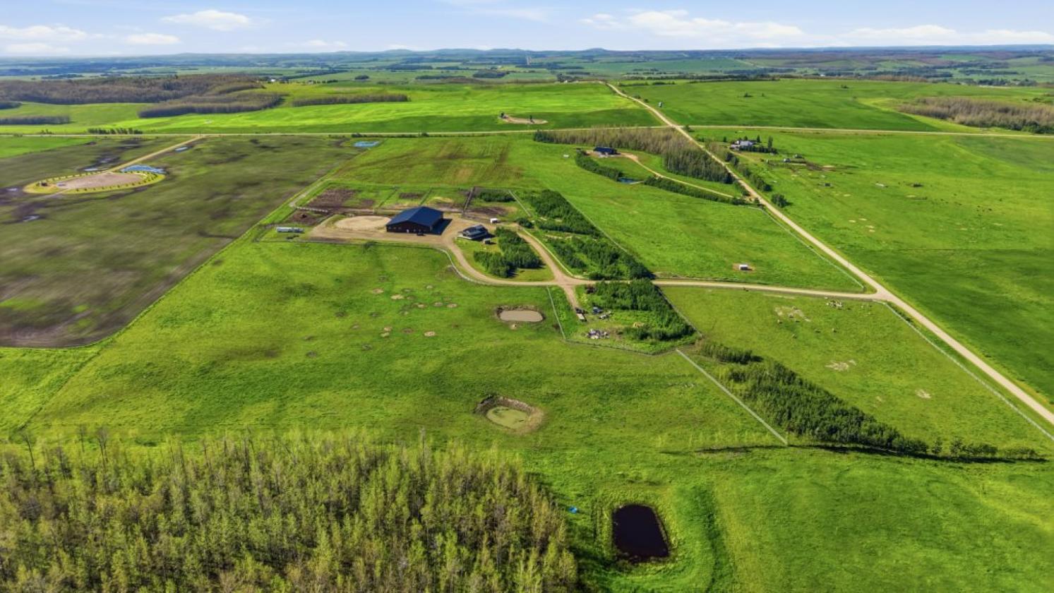 63+ Acre Equestrian Property - photo 25