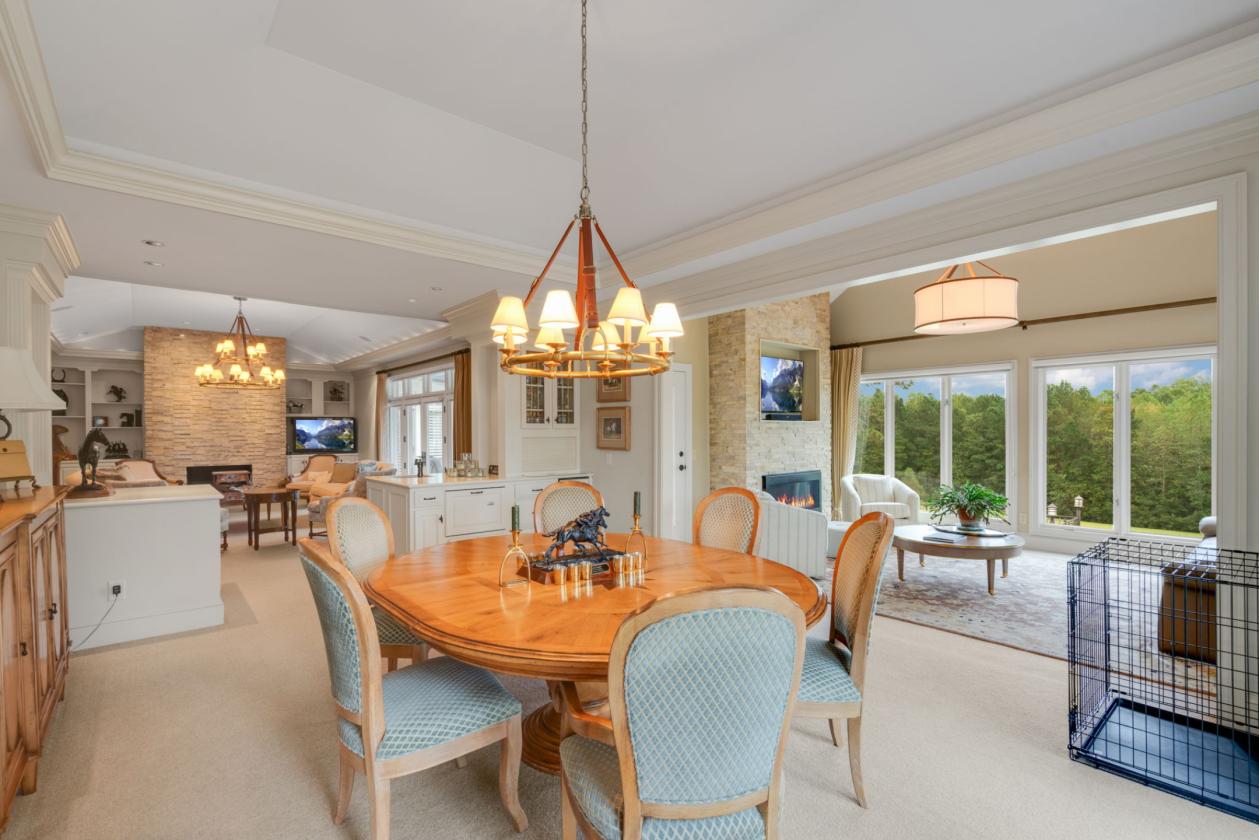 Magnificent 31+ ac equestrian estate - photo 7