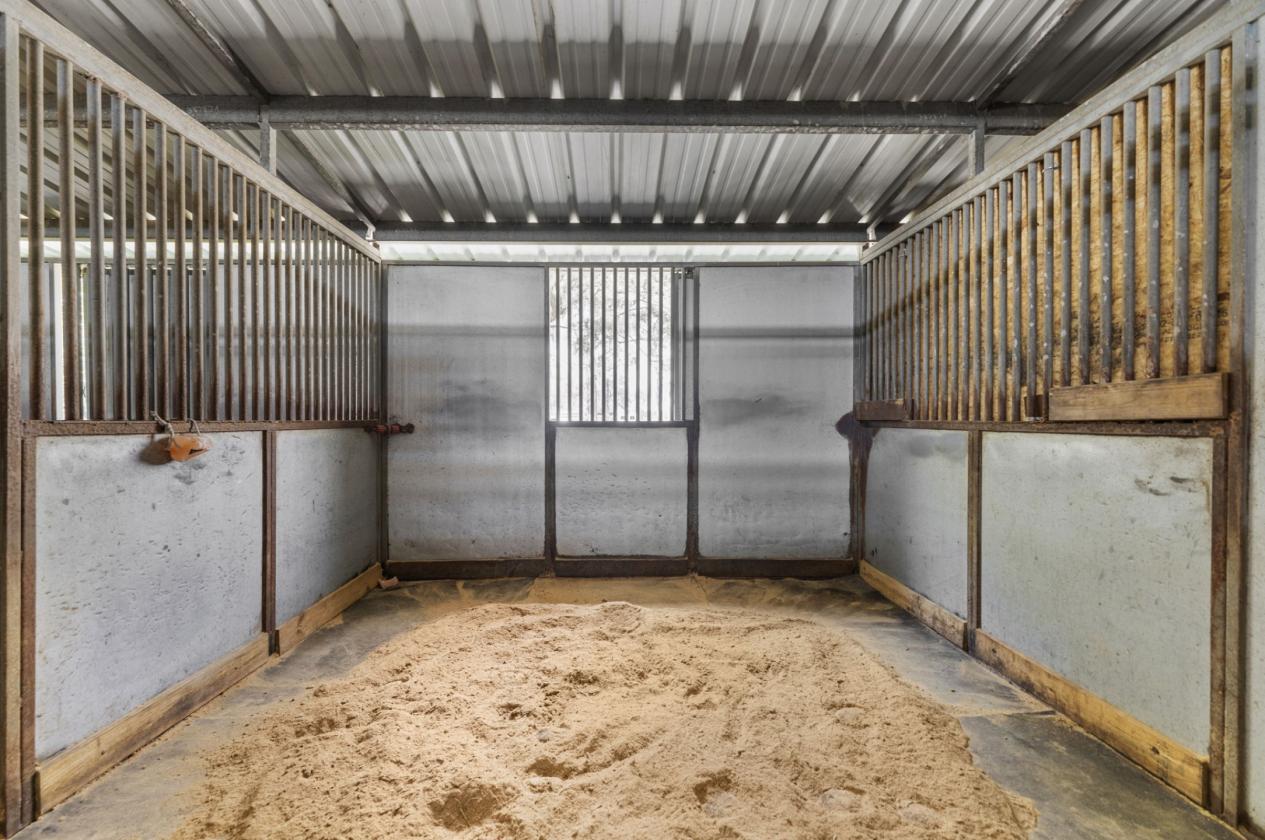 Dream Horse Property on Almost 16 Stunning Acres - photo 5