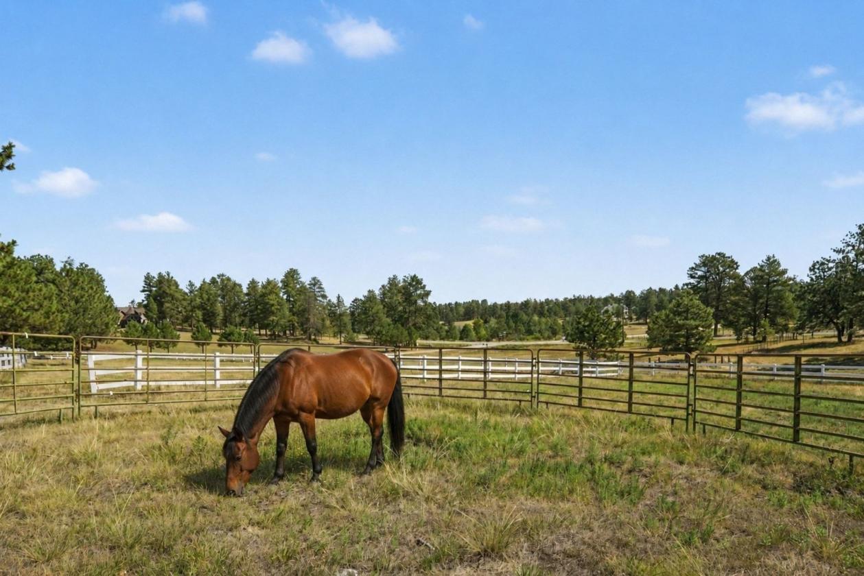 9.7 ACRES + REIMAGINED LUXURY + VIEWS + HORSE PROP - photo 28