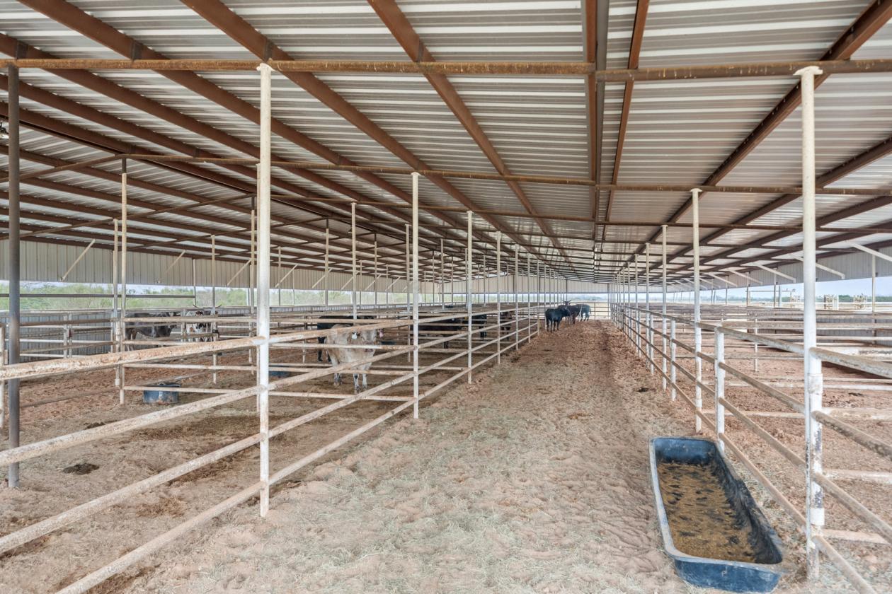 10 Acre Equestrian/Livestock Property - photo 12
