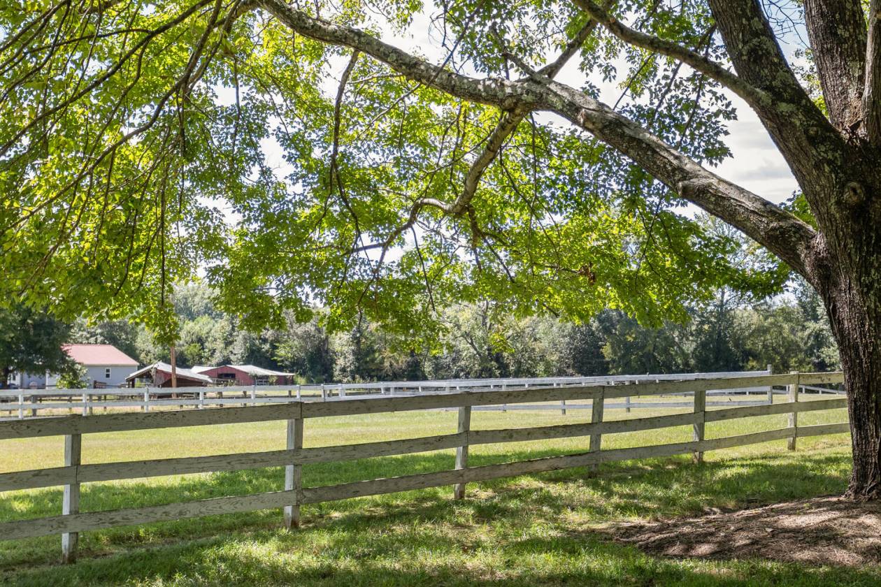 9.8 Acres: Multiple Fenced Pastures  - photo 5