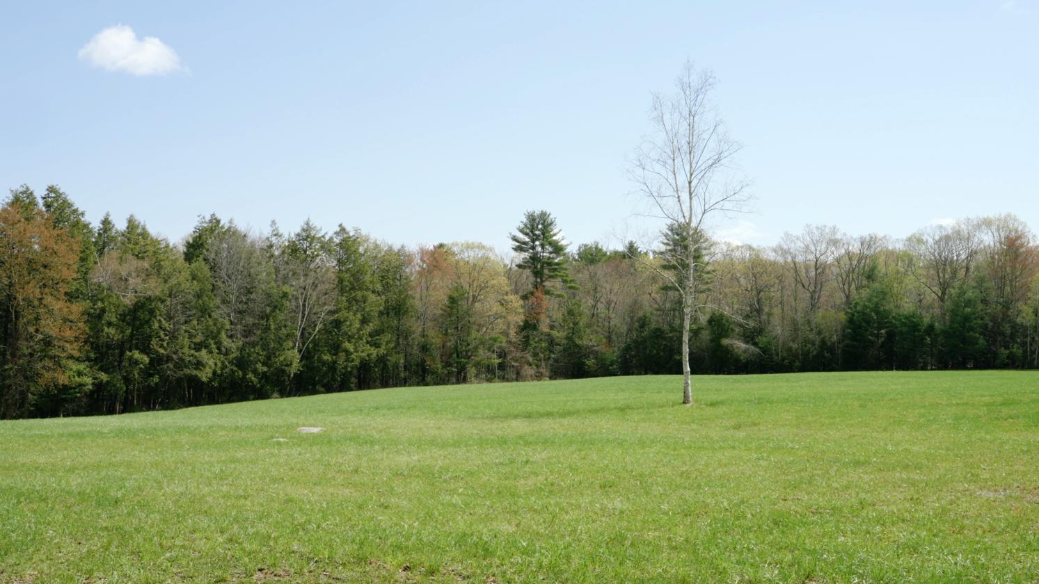 70 Acre Estate in North Granby - photo 3