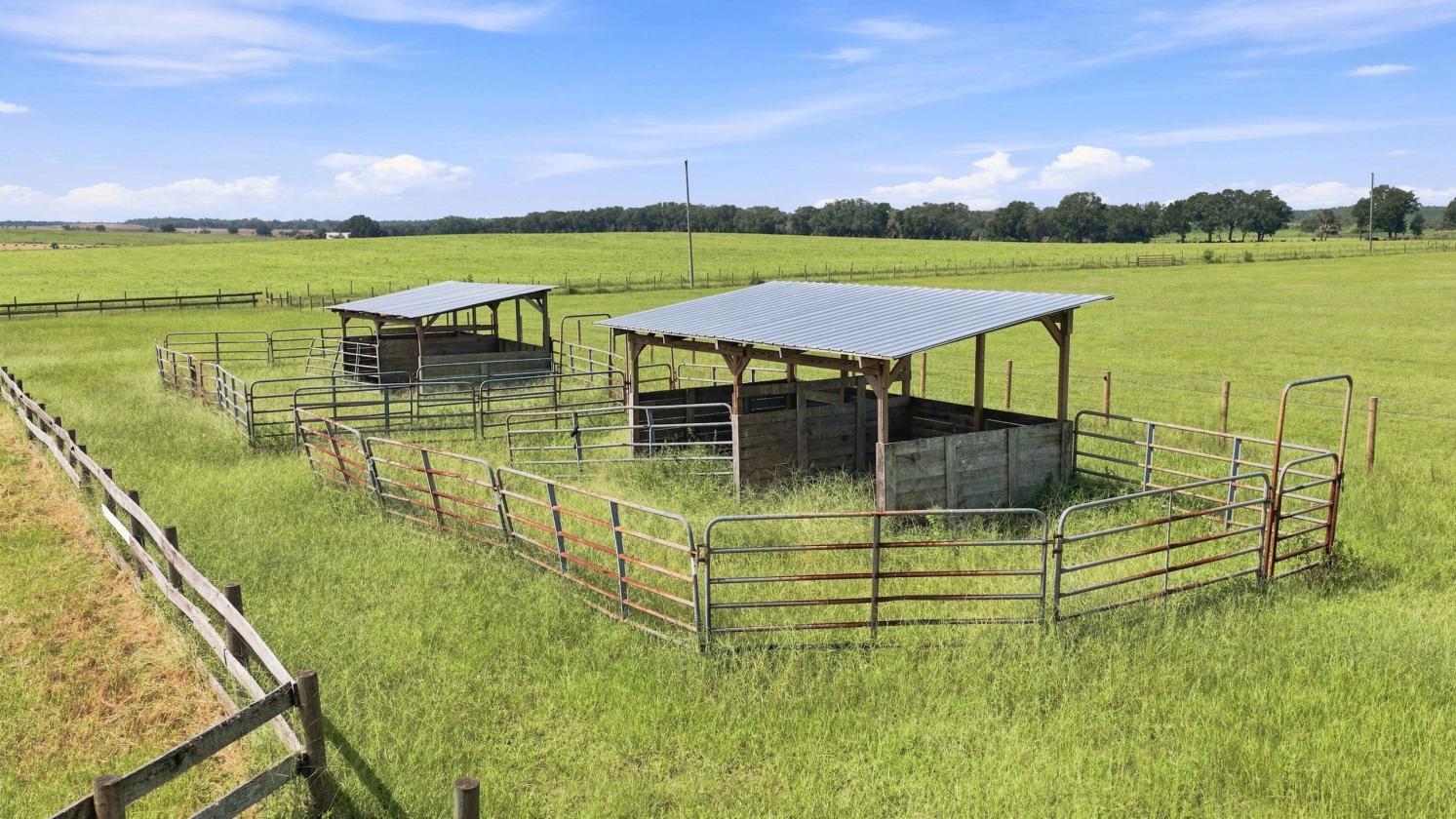Exceptional 31-Acre Equestrian Property - photo 6