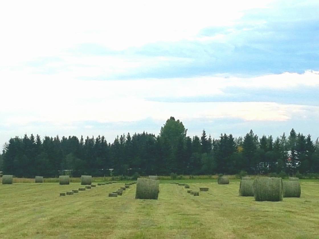 100 x250 ft Steel Engineered INDOOR ARENA, 138.6Ac - photo 19