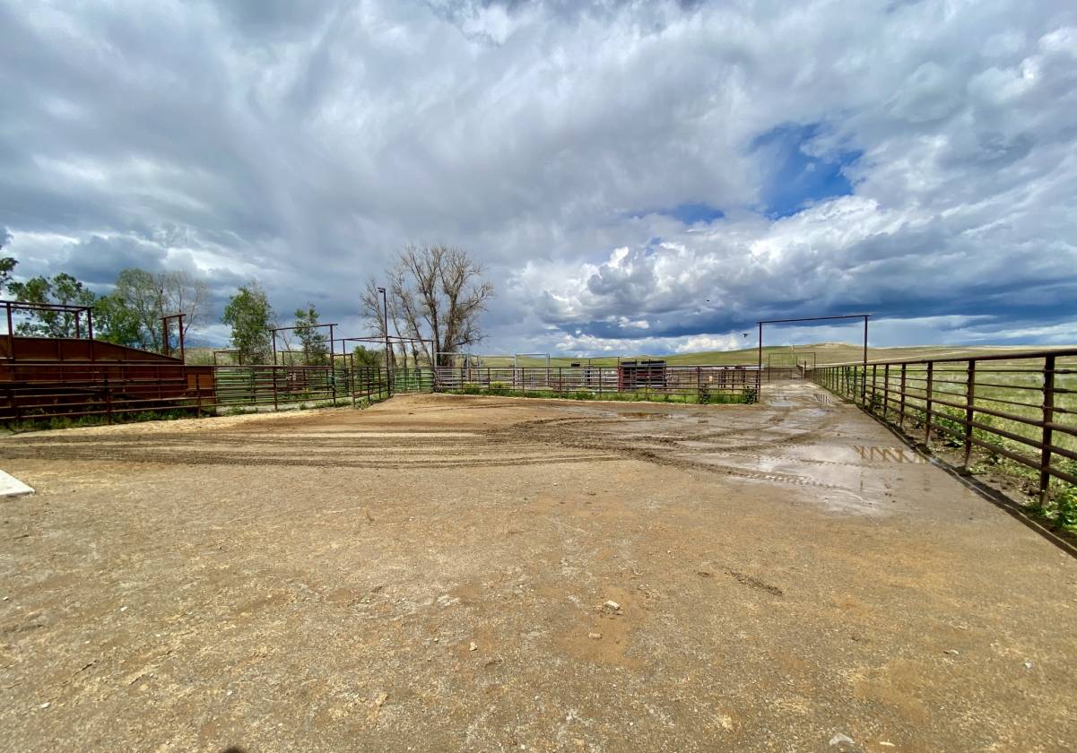 Cattle & Horse Property Montana Cardwell, Jefferson County, Montana