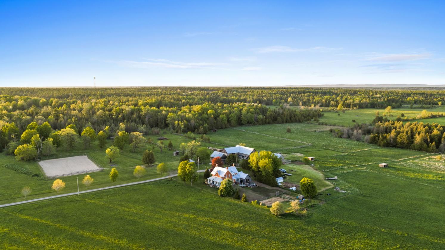 Turnkey equestrian farm w/renovated house/barns! - photo 3