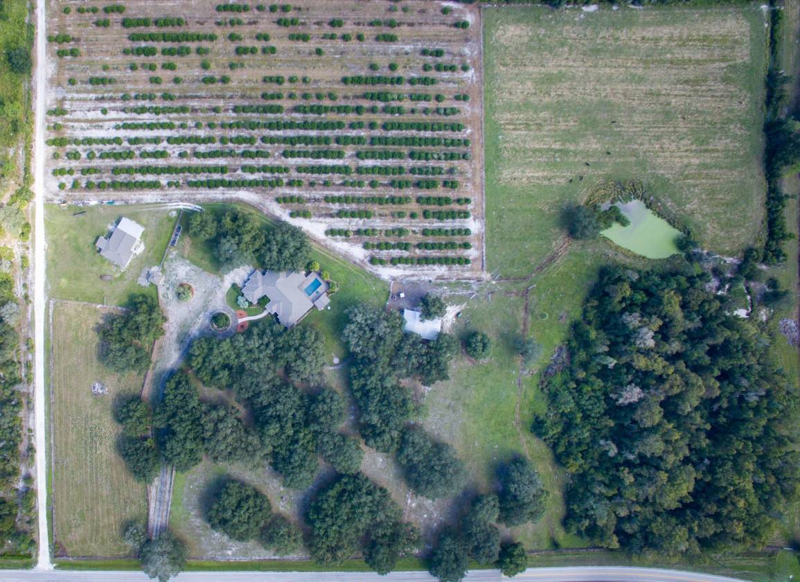 Estate Home on 29+ acres, 9 Stall barn and tack... Arcadia, Desoto