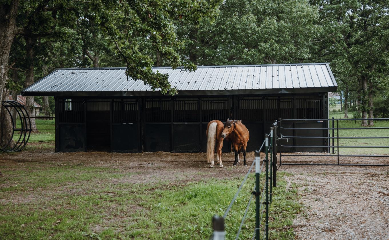 Cuba Countyside Retreat - photo 15