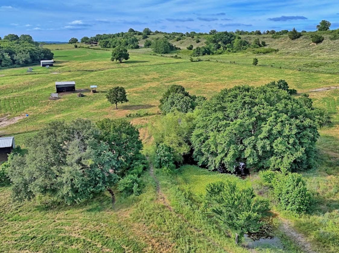 Horse Property in the North Texas Countryside - photo 15