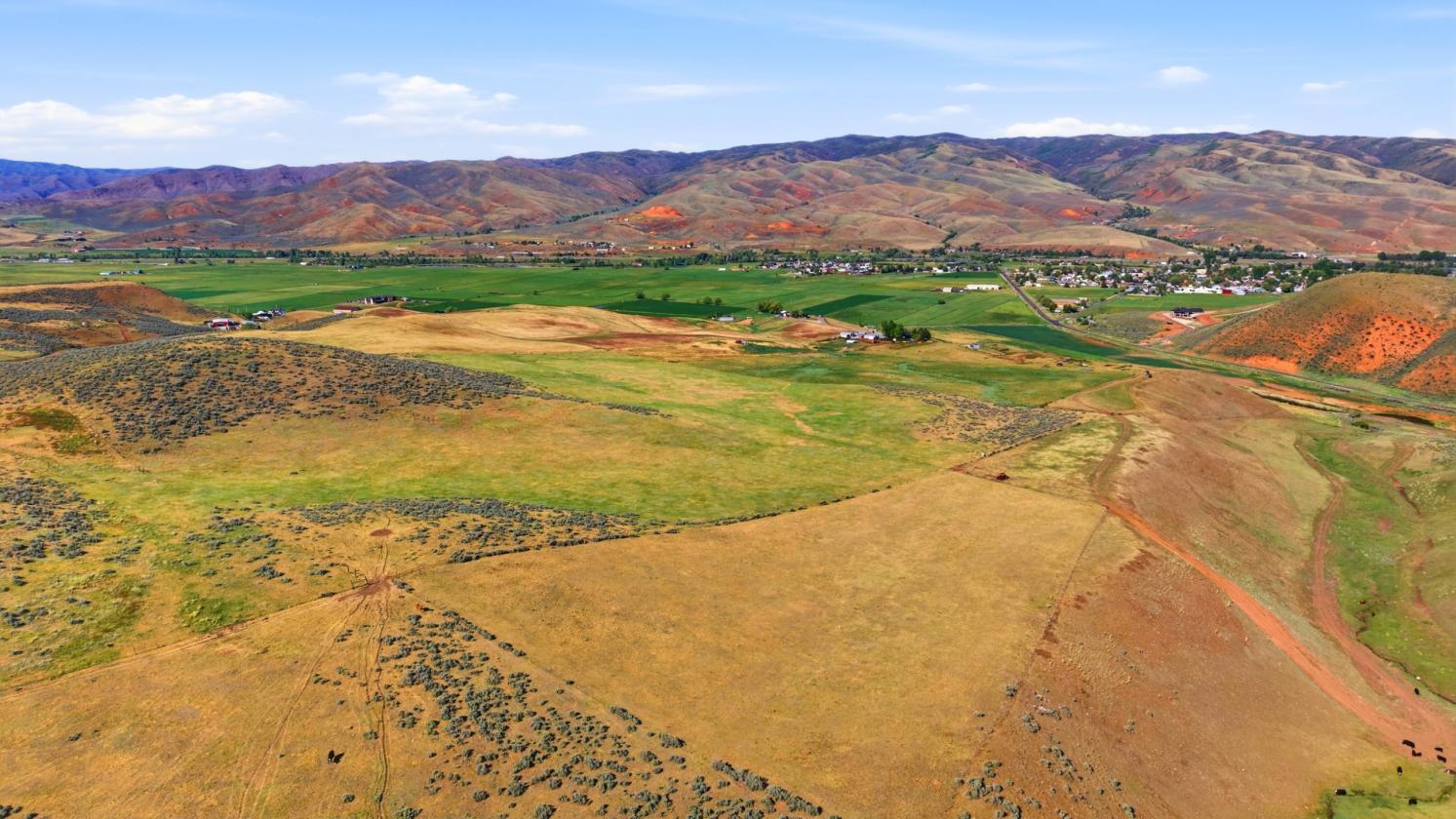 117-Acre Horse Property & Farm - photo 9