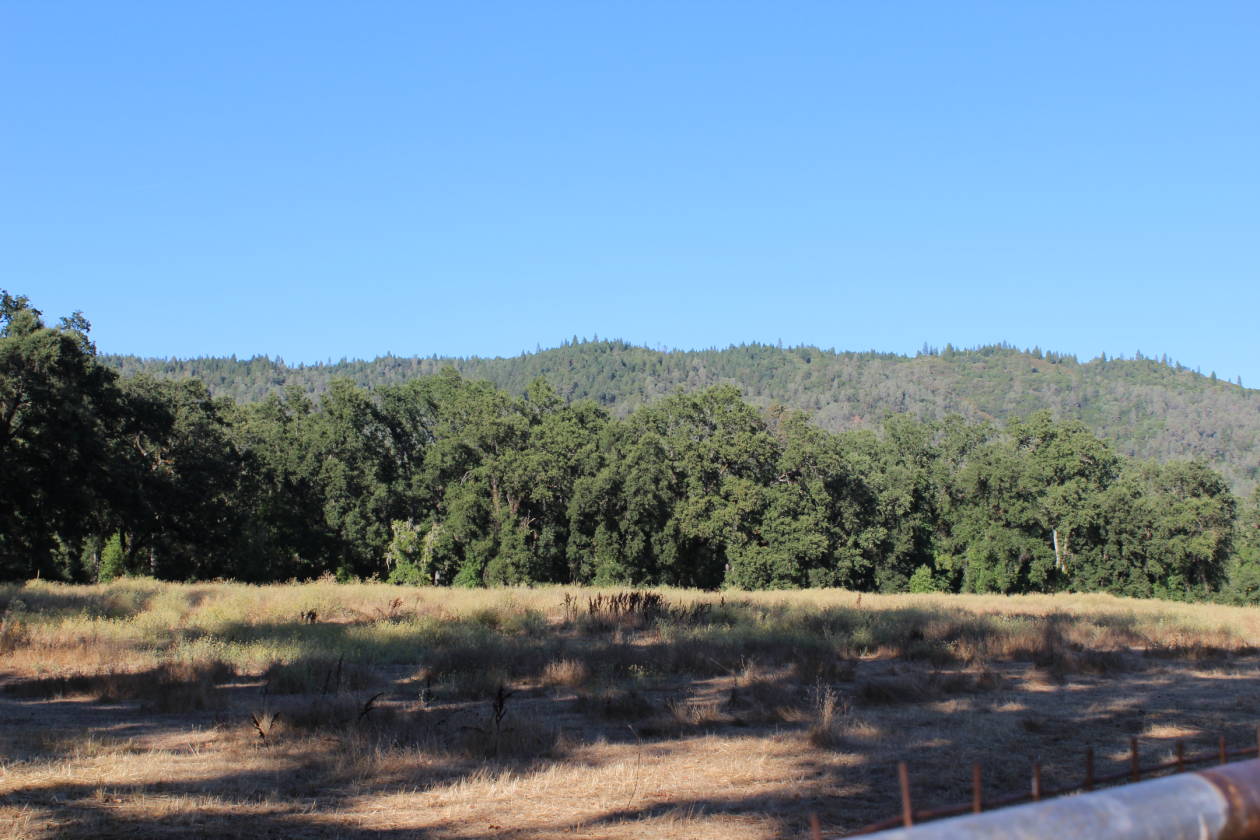 41.5 Acre Horse Property with 4 Wells, Large Barn, 3... Covelo, Mendocino County, California
