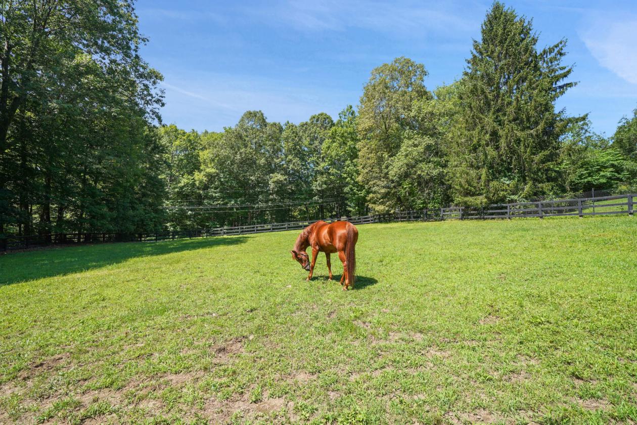 Meadow Ridge Farm - Luxury Horse Property - photo 25