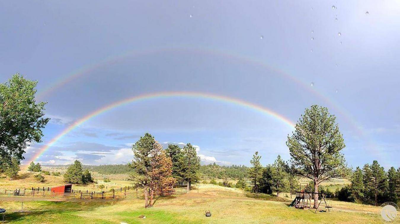 173-Acre Ranchette - Just 1 Hour from Billings - photo 24
