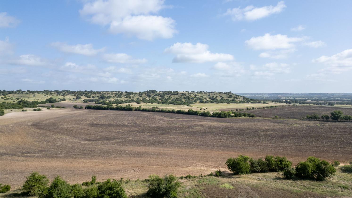 60 Acres in Star - Ready for Horses! - photo 10