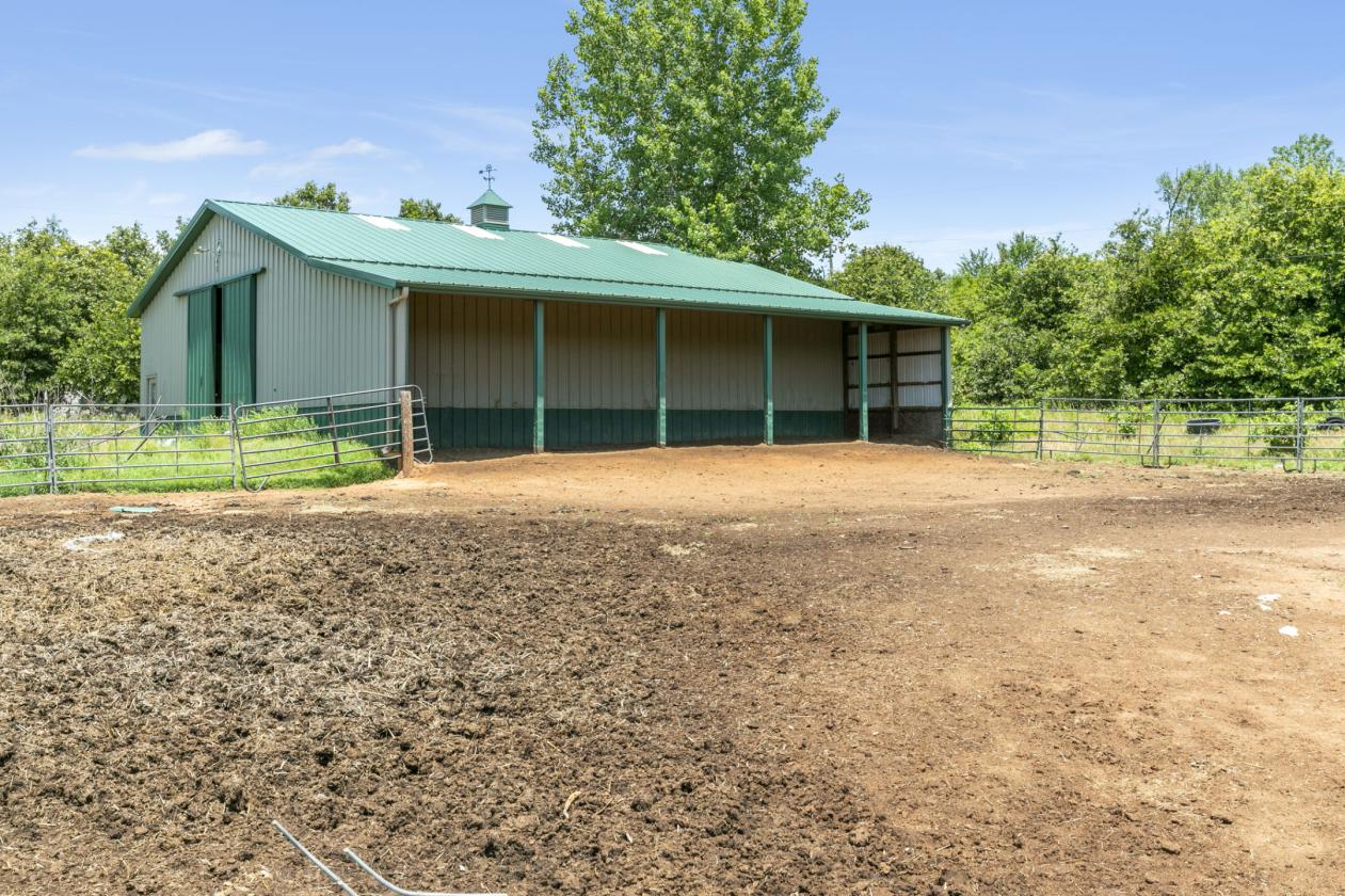 Professional Boarding/Training Facility - photo 17
