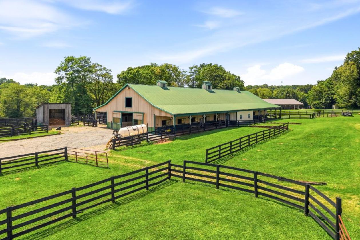 Equestrian Horse Farm with 73.5 acres - photo 11