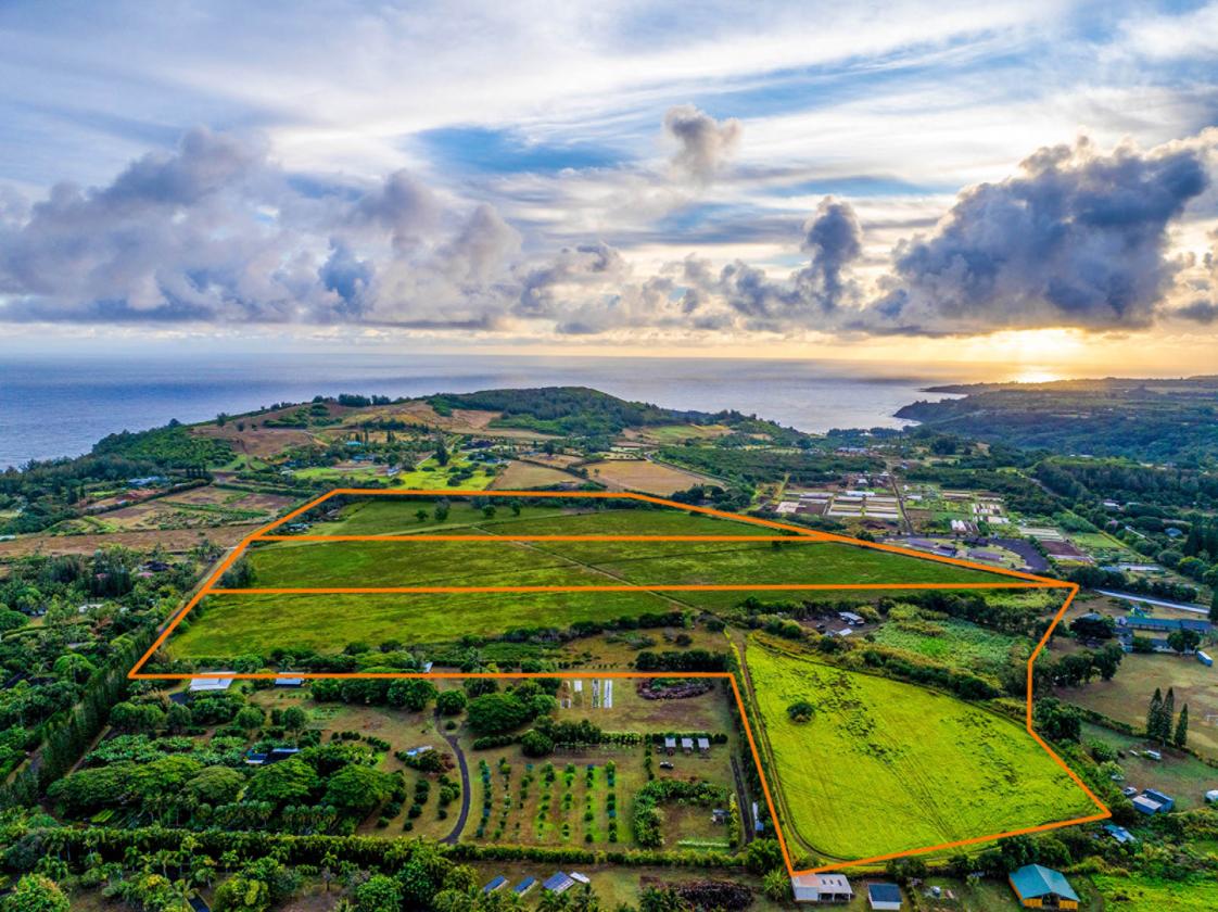 58+ Acres of Prime Land on Kauai's North Shore - photo 5