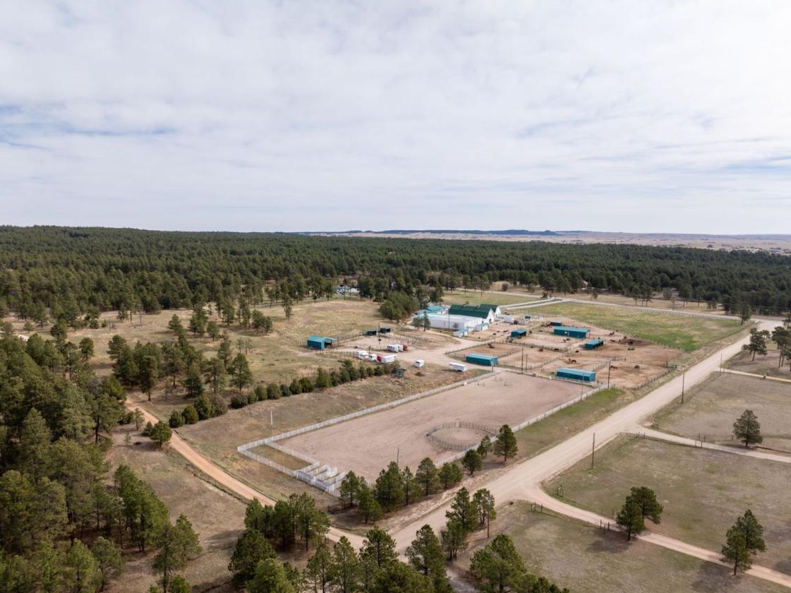 Historic Pine Run Ranch in Black Forest on 60AC - photo 24