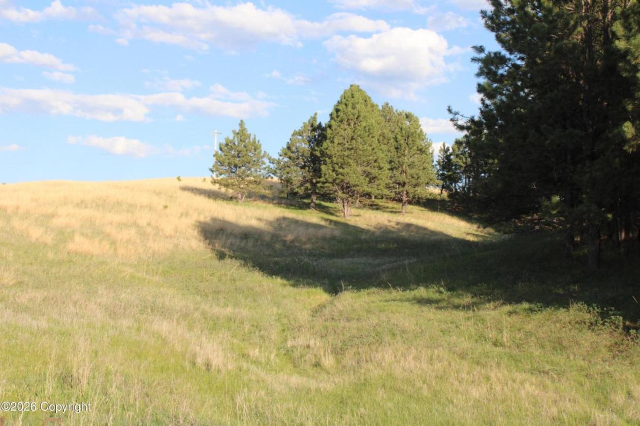WY Horse Property with Views and NO Covenants! - photo 4