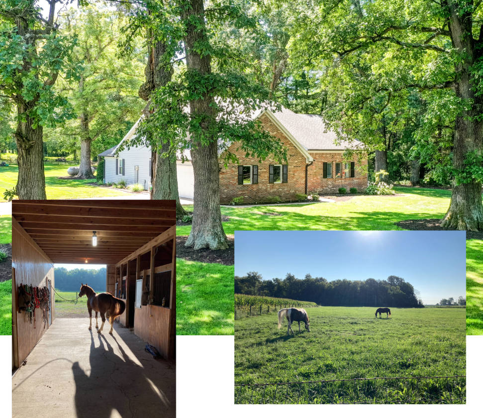 10 acre horse farm north of Indianapolis Sheridan, Boone County