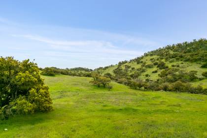 Property image.