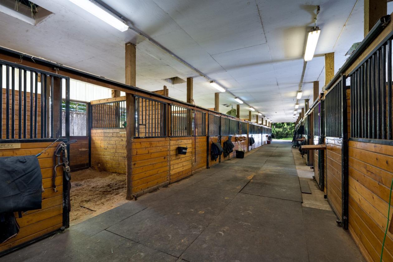 Luxury equestrian estate with pool, barn, arenas - photo 25