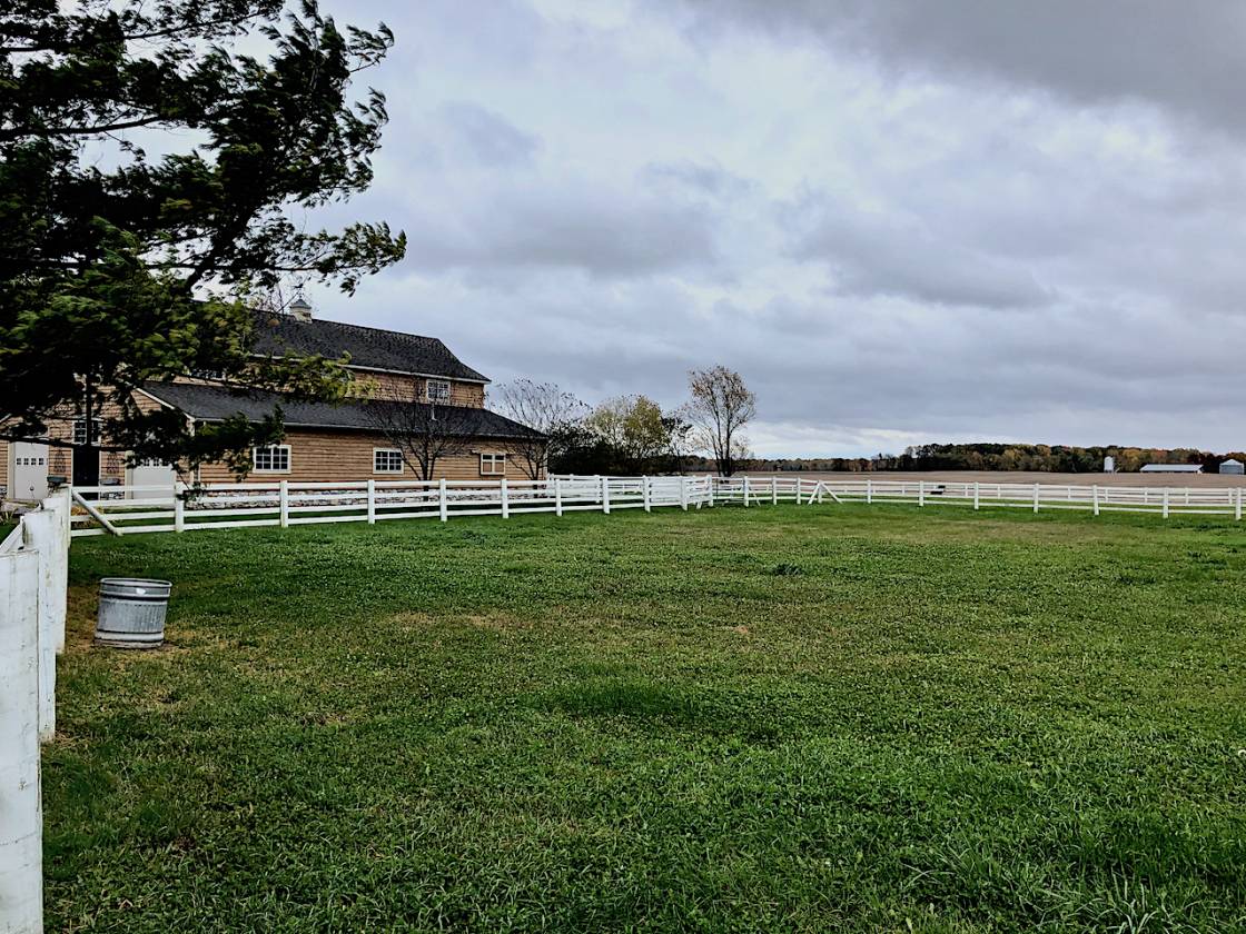 Horse ranch For Sale Mount Pleasant, Isabella County, Michigan