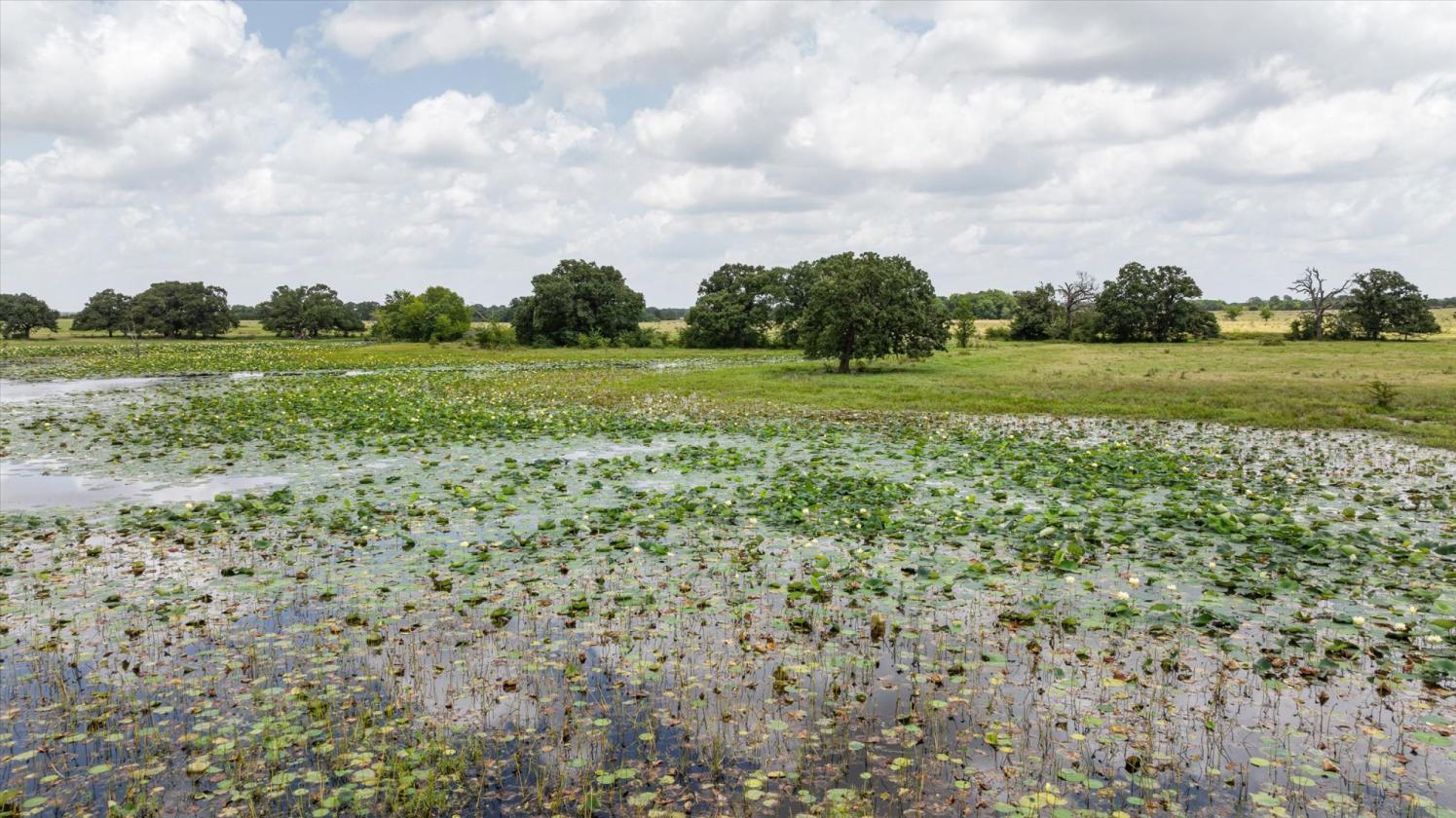 Exceptional Opportunity on 640 Acres - photo 24