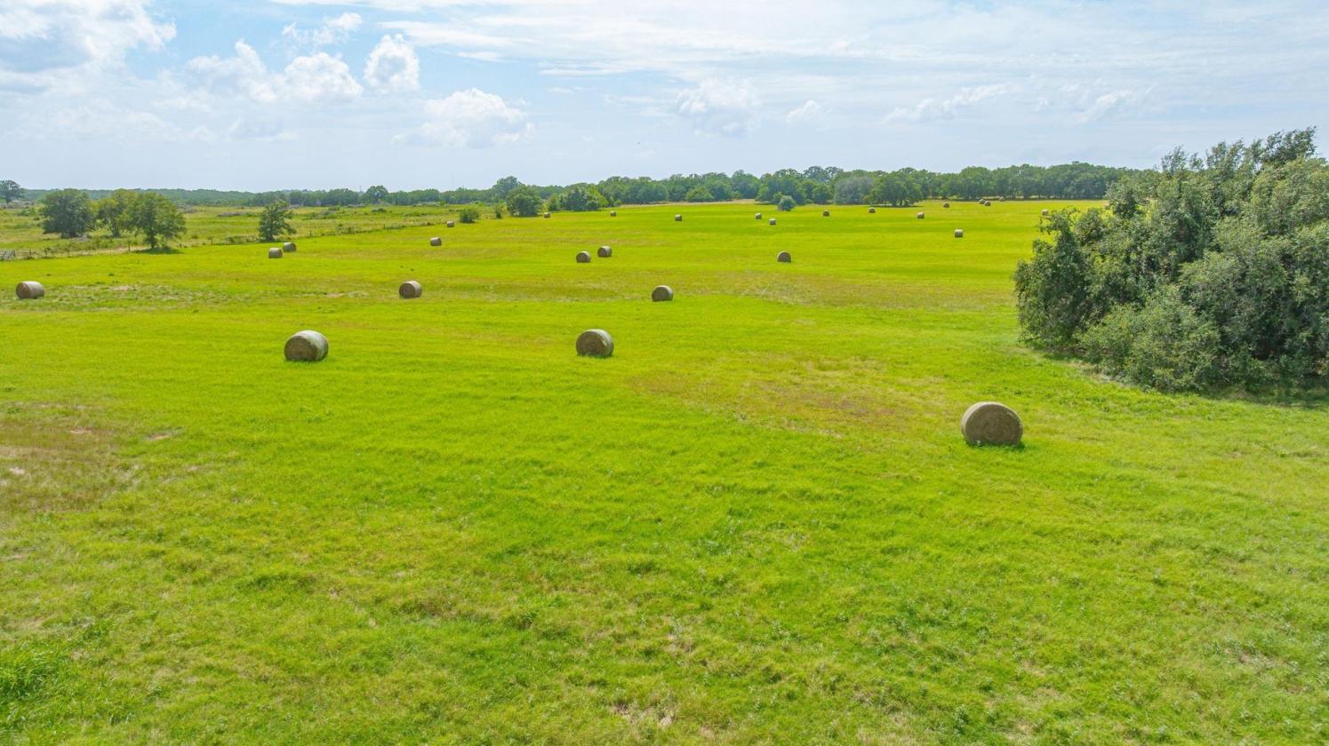 Turnkey Ranch Property With Coastal Fields!! - photo 1