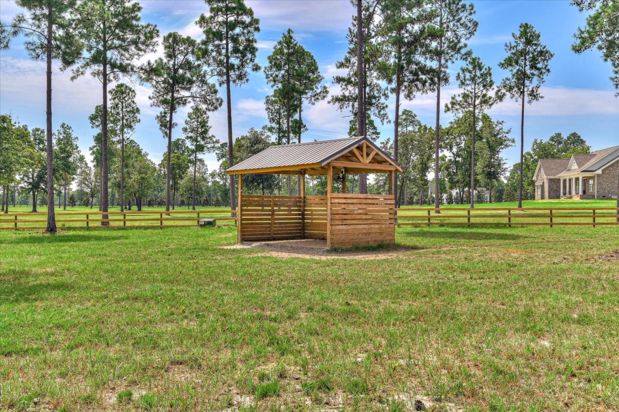 12 Acres Horse Property in the Paddocks - photo 6