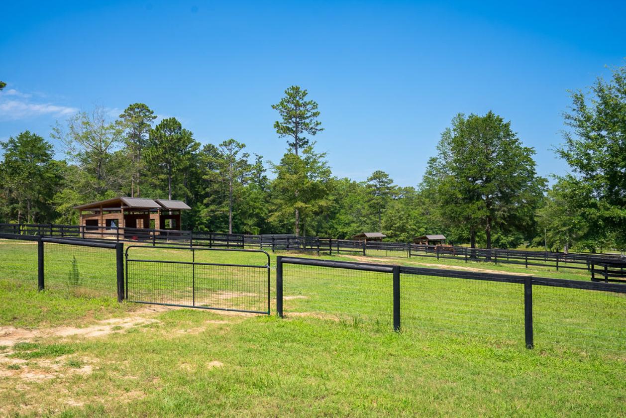 Horse-Ready in Aiken’s Goodsprings Plantation - photo 10