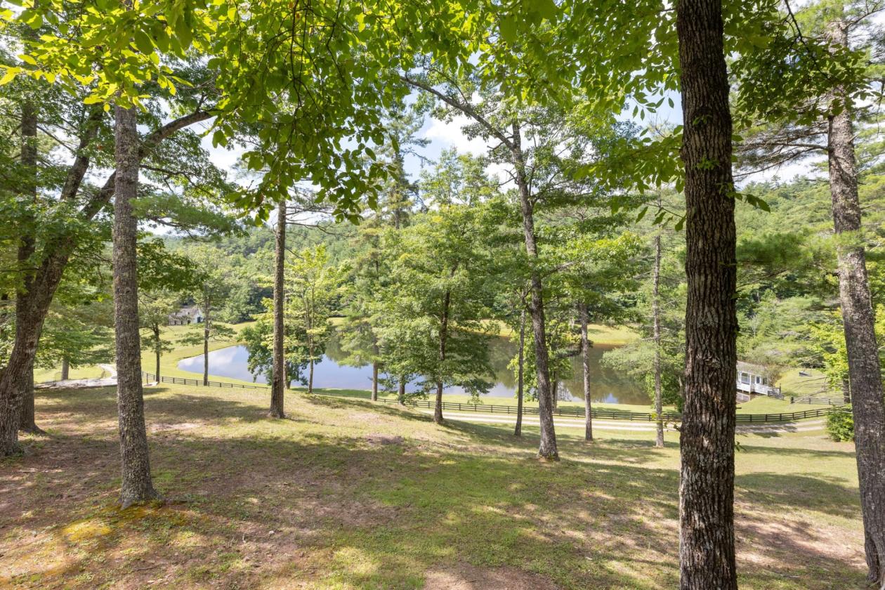 Luxury Equestrian Estate Bordering National Forest - photo 21