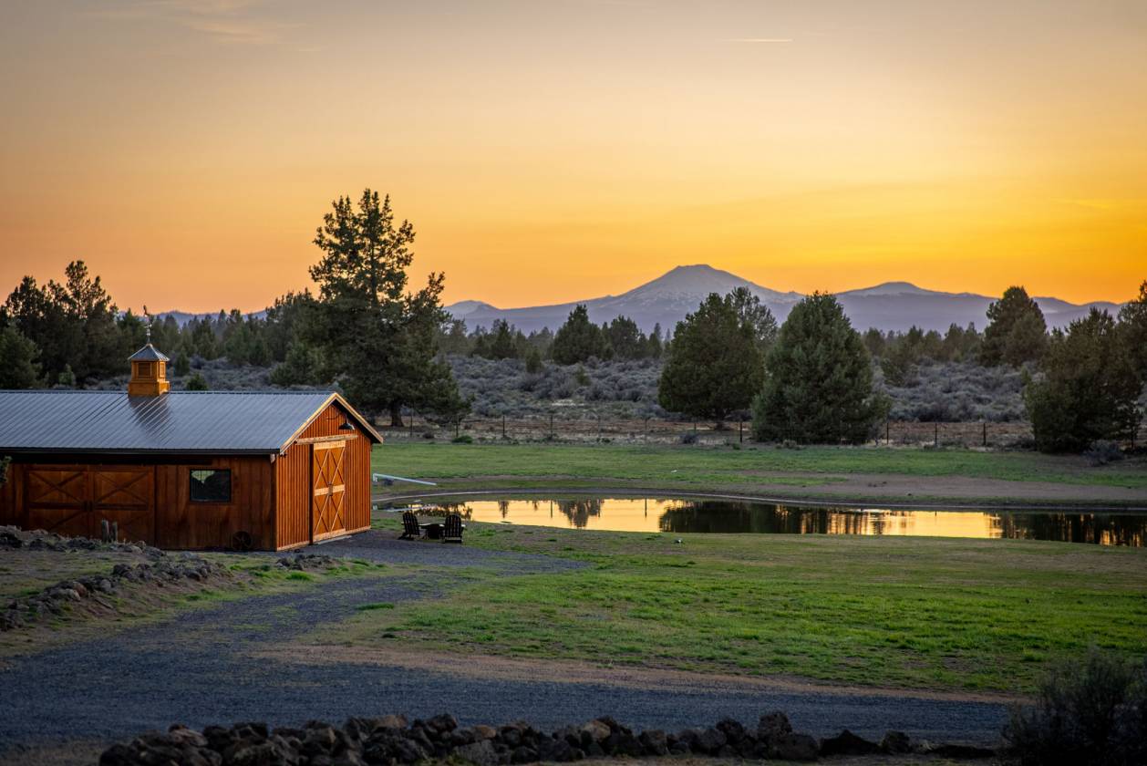 Horse Property for sale.