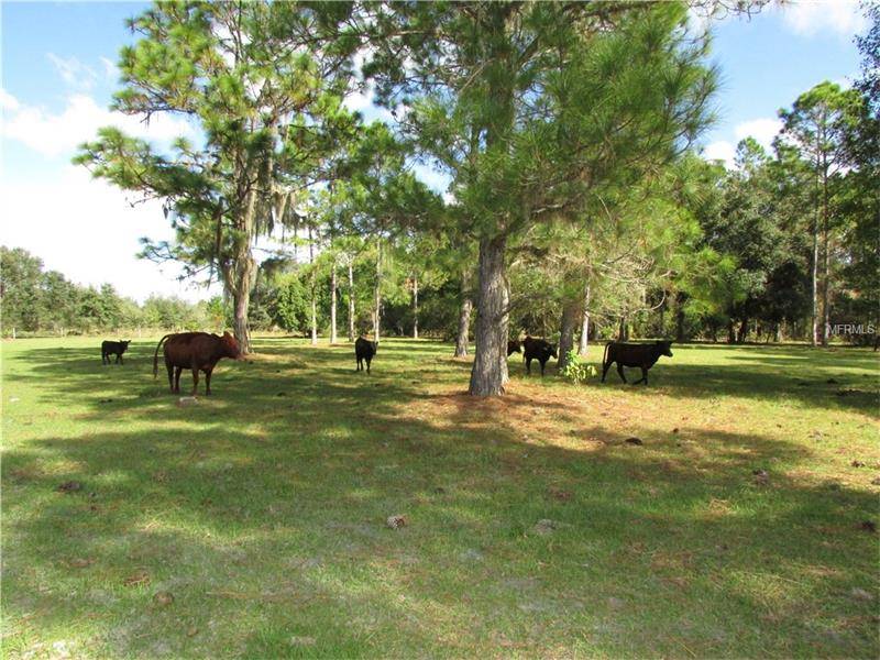 20 Acres with Home! Arcadia, Desoto County, Florida Horse Properties